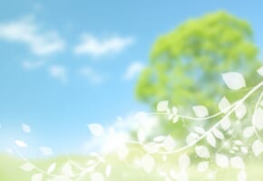 6ccef24bb02ab91a2420017f4cefe183_m